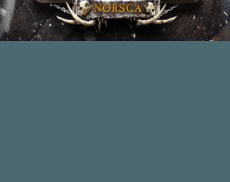 Total War WARHAMMER Norsca (DLC)